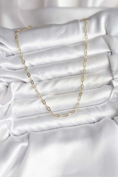 14K Gold Renk Kaplama Ataç Zincir Model CM Kadın Kolye